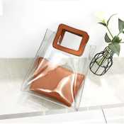 transparent-square-handbag
